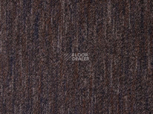 Грязезащитные покрытия Vebe Arco Pc Arco 80 фото 1 | FLOORDEALER